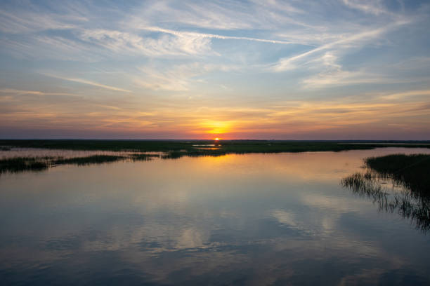 istock Hunting island south carolina beach scenes 1248304430
