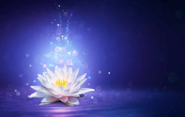 Magic Lotus Flower With Fairy Light Floating On Blue Pond