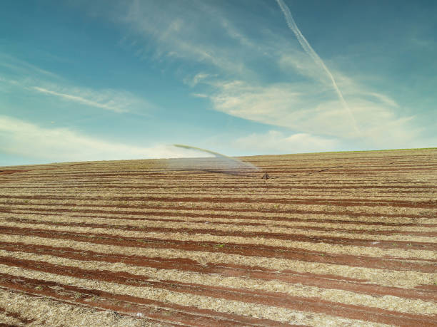 サトウキビ農園での土壌処理。ヴィーニョト栄養物質、空中写真 - nutritive ストックフォトと画像