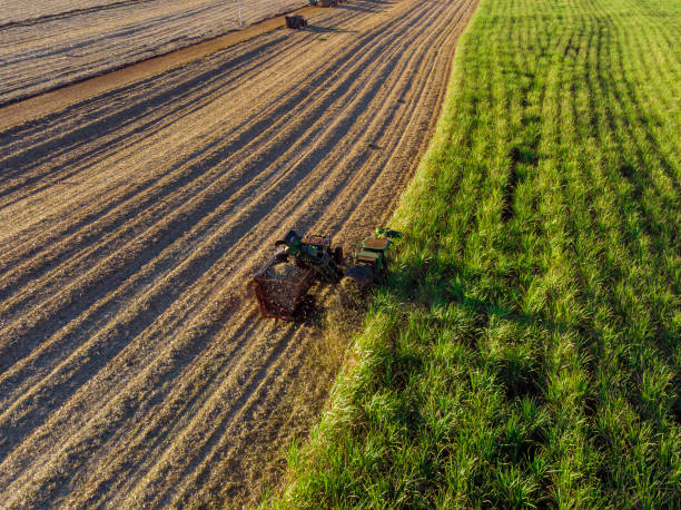 farm tractors working on sugar cane harvest plantation aerial view - tractor agricultural machinery agriculture commercial land vehicle imagens e fotografias de stock