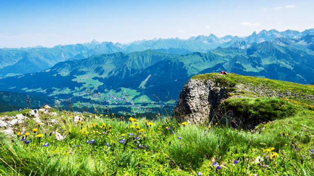 una coppia di escursionisti isolata che riposa sull'altopiano della montagna hoher ifen nella kleinwalsertal, alpi dell'allgau, austria - alpine upland foto e immagini stock