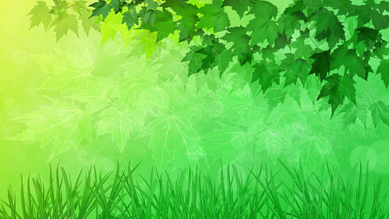 Abstract Background of Green Leaves and Grass with Space for Copy