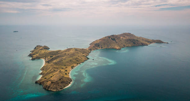 istock Komodo National park. Indonesia. 1248313280