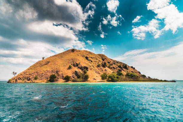 istock Komodo National park.Indonesia. 1248313499