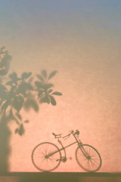 Silhouette of an old bicycle on a dark colored background next to a tree, sunset, blurred abstract backdrop
