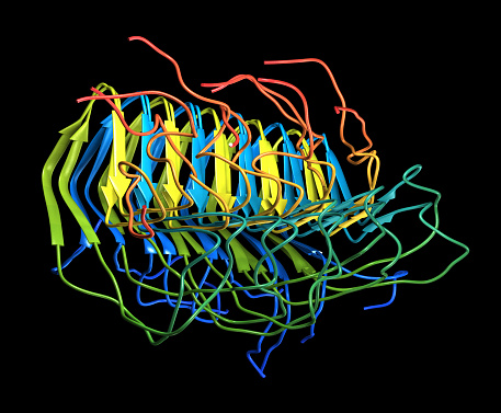 A molecular model of Amyloid protein fibrils. Formed when mis-folded proteins self-assemble into fibrous sheet structures, they are found in the brains of sufferers of Alzheimer's disease and may be implicated in causing the disease.