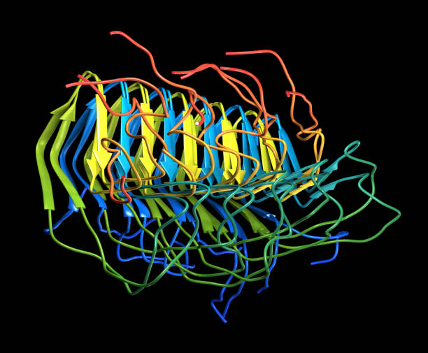 alzheimers protein fibril - amyloid bildbanksfoton och bilder