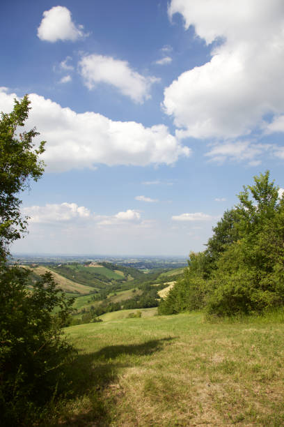istock Hillslopes with trees and cultivated fields under a serene sky in summer 1248316278