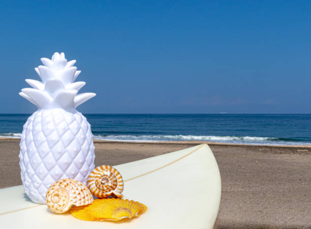 istock Pineapples on the beach with a blue ocean and sky 1248318205