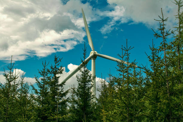 Windmill between fir trees in the forest against a blue sky with white clouds