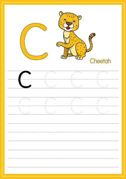 Vector illustration of Vector illustration of Cheetah isolated on a white background. With the capital letter C for use as a teaching and learning media for children to recognize English letters Or for children to learn to write letters Used to learn at home and school.