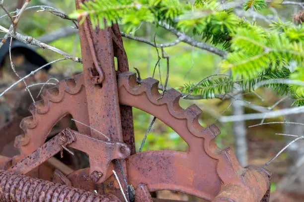 A closeup view of part of an antique rusted farm machine. It appears to be a gear or sprocket.
