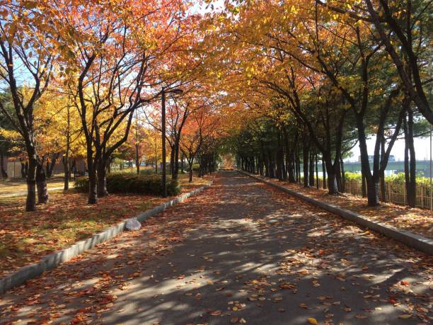 istock Seonyudo Park, Seoul 1248326471