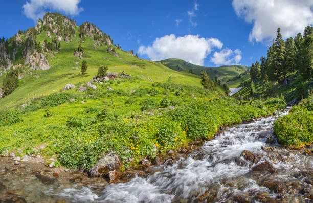 istock Mountain creek, picturesque spring view. Clean stream, green meadows 1248331455