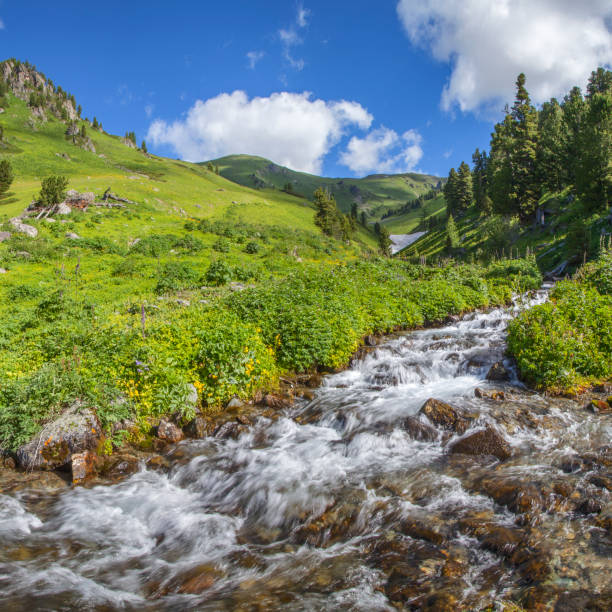 istock Mountain creek, picturesque spring view. Clean stream, green meadows 1248331456