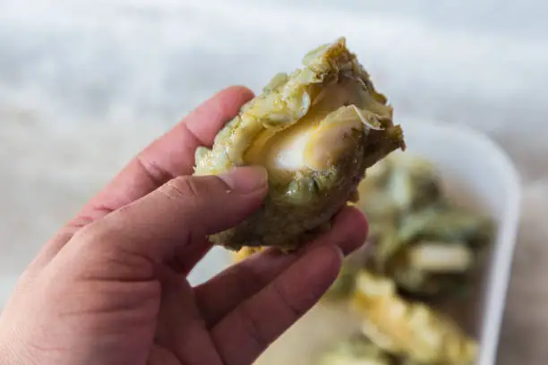 Photo of Fresh raw abalone from Mantanani Island, Sabah, Borneo