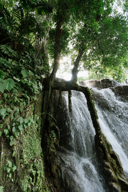 istock Tapijulapa, Tabasco State, Mexico. 1248335653