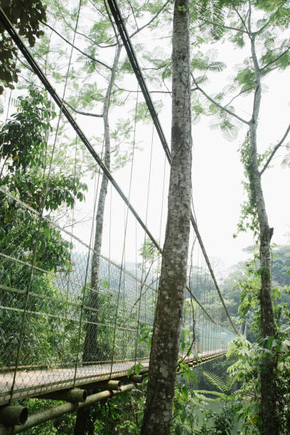 istock Tapijulapa, Tabasco State, Mexico. 1248335931