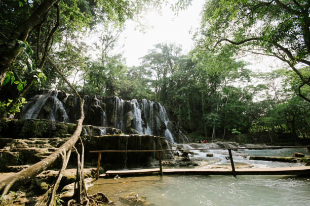 Tapijulapa, Tabasco State, Mexico. Tapijulapa, Tabasco State, México. At 12 meters high, the beauty of this aquatic corner is impressive. Designed for adventure, going down to the main waterfall requires a rappelling descent that will stimulate all your senses. tabasco state stock pictures, royalty-free photos & images