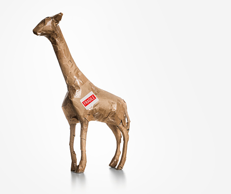 Giraffe figurine wrapped for moving - concept