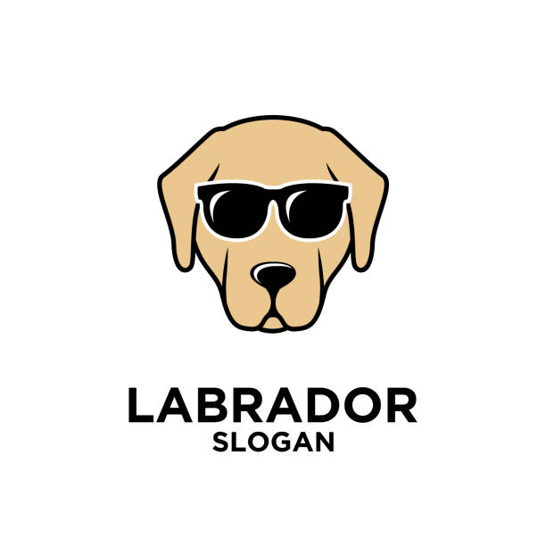 ilustrações de stock, clip art, desenhos animados e ícones de labrador dog head face logo icon design template - dog black labrador retriever animal nose
