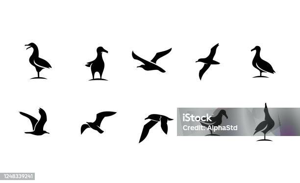 Set Collection Seagull Bird Silhouette Black Logo Icon Design Stock Illustration - Download Image Now