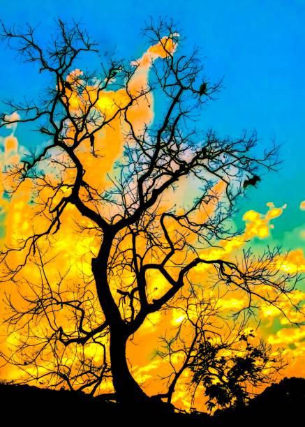 istock Natural Beauty of Taiwan, Backlight Scenery 1248339416