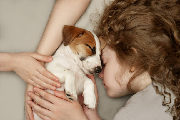 istock Curly girl hugging a puppy Jack Russell Terrier. 1248340837
