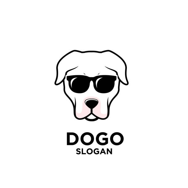 dogo argentino dog head black white logo icon design dogo argentino dog head black white logo icon design dogo argentino stock illustrations