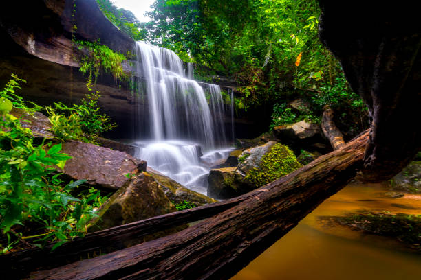 istock Khun Sri waterfall in tropical forest Thailand leaf moving low speed shutter blur.Unseen in Sisaket province,Thailand. 1248356860
