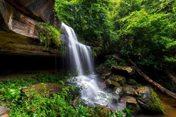 istock Khun Sri waterfall in tropical forest Thailand leaf moving low speed shutter blur.Unseen in Sisaket province,Thailand. 1248356862