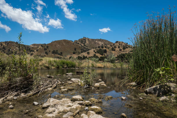 istock Malibu Creek State Park 1248395758