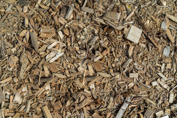 istock background of small wood chips top view 1248396308