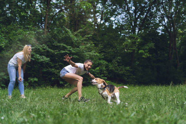 istock Two women playing with dog in a park 1248397872