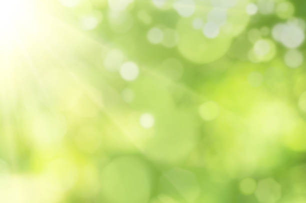 bokeh Bright glowing green nature background in the form of bokeh. lush foliage stock pictures, royalty-free photos & images