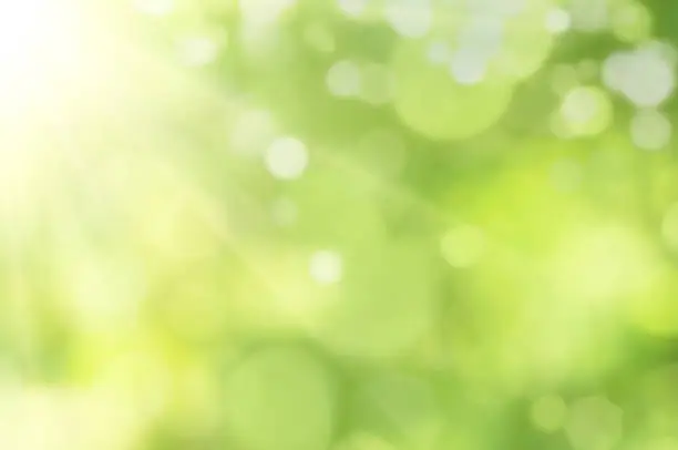Bright glowing green nature background in the form of bokeh.