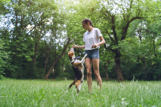 istock Young woman playing with dog in a park 1248398963