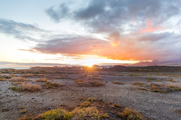istock Beautiful sunset, El Medano Tenerife, Canary islans, Spain 1248402988