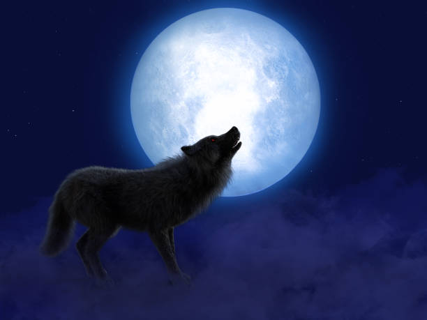 istock 3D rendering of black wolf with red eyes in moonlight. 1248406278