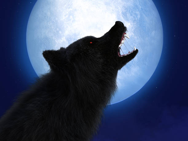 3D rendering of black wolf with red eyes in moonlight. 3D rendering of a black wolf or werewolf with glowing red eyes howling at the big moon. Stars in the night sky. animal saliva stock pictures, royalty-free photos & images