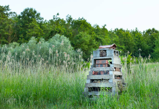 istock Homemade insect hotel 1248417087