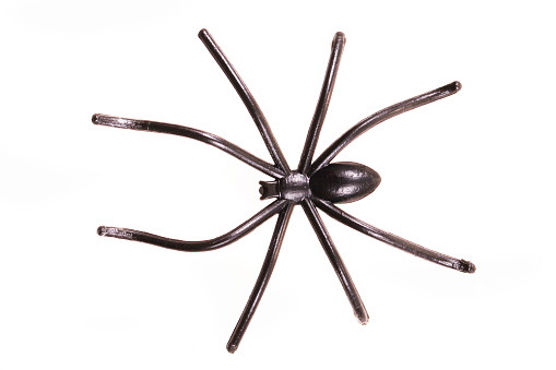 plastic spider isolated on the white background
