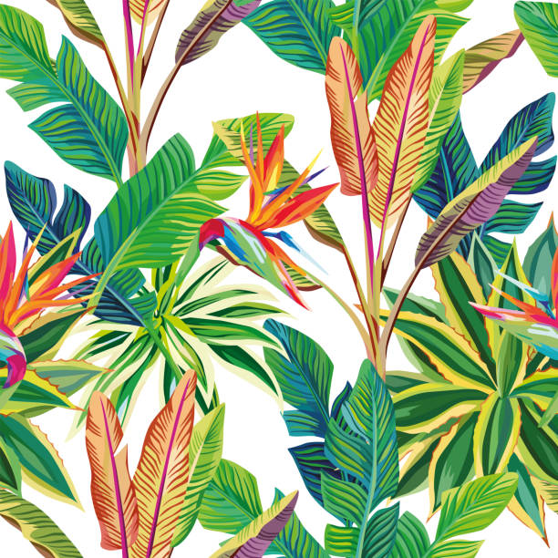 tropische dschungelvögel des paradieses und blätter nahtlos - tree bird flower pattern stock-grafiken, -clipart, -cartoons und -symbole