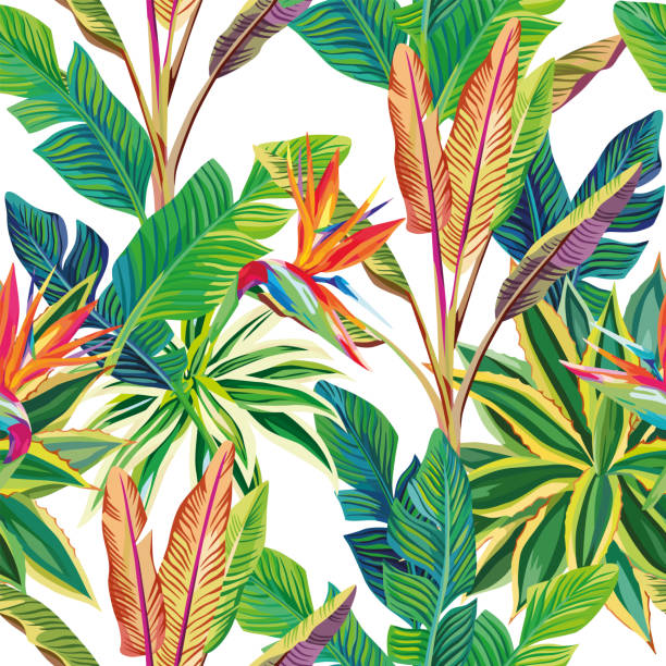 Tropical jungle birds of paradise and leaves seamless Sunny cheerful day on the tropical jungle. Birds of paradise and leaves vector seamless pattern composition. White background Antilles stock illustrations