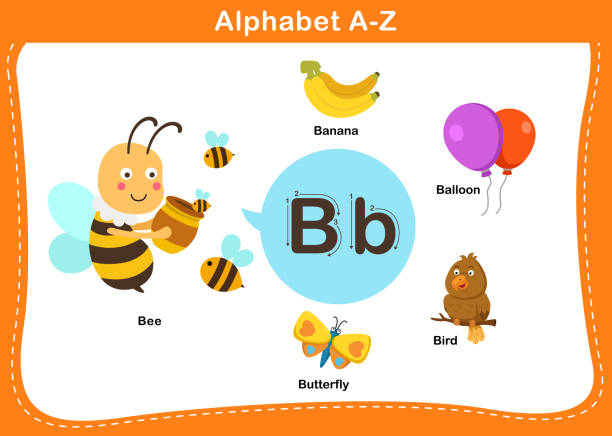 ilustrações de stock, clip art, desenhos animados e ícones de alphabet letter b vector - book sheet education student