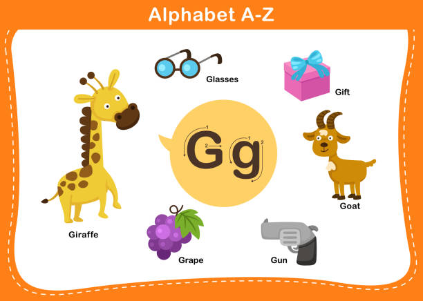 ilustrações de stock, clip art, desenhos animados e ícones de alphabet letter g vector - book sheet education student