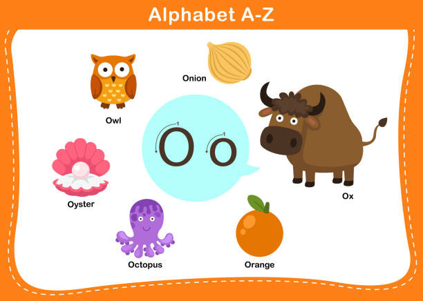 ilustrações de stock, clip art, desenhos animados e ícones de alphabet letter o vector - book sheet education student