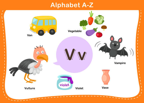 ilustrações de stock, clip art, desenhos animados e ícones de alphabet letter v vector - book sheet education student