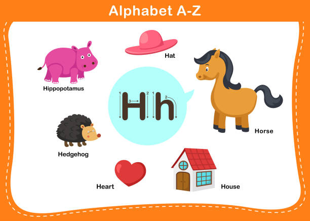 ilustrações de stock, clip art, desenhos animados e ícones de alphabet letter h vector - book sheet education student