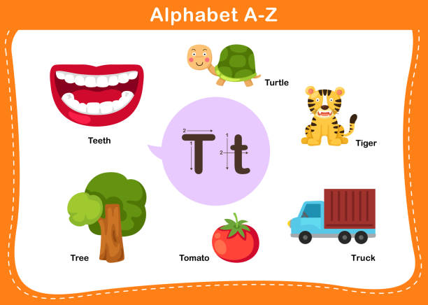 ilustrações de stock, clip art, desenhos animados e ícones de alphabet letter t vector - book sheet education student